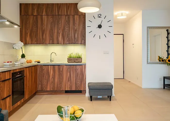 Art River View Вроцлав